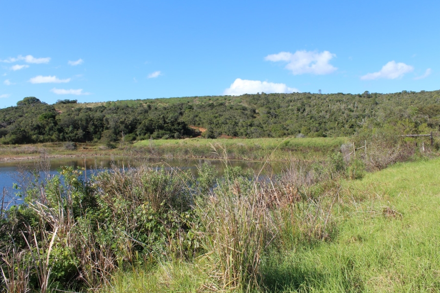 3 Bedroom Property for Sale in Bathurst Eastern Cape